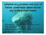 Jellyfish as a predator and prey of fishes: underwater observations and rearing experiments