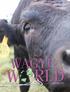 March/April Wagyu World March / April