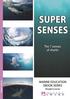 Super senses: THE 7 senses of sharks