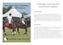 Cambridge County Polo Club Sponsorship & Hospitality