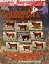 Cornhusker Classic Show Steer & Heifer Sale
