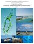 COASTAL ZONE MANAGEMENT AUTHORITY AND INSTITUTE Turneffe Atoll Coastal Advisory Committee TURNEFFE ATOLL COASTAL ZONE MANAGEMENT GUIDELINES 2011