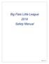 Big Flats Little League 2016 Safety Manual