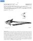 Nezumia liolepis (Gilbert, 1890) Fig MACROUR Nez 9