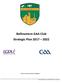 Ballinamere GAA Club Strategic Plan