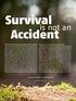Survival. Accident. is not an. Learn it, link it, and live it. by Allen Silver