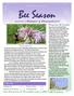 Bee Season. Message from the President. In this issue