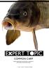 COMMON CARP. Welcome to Expert Topic. Each issue will take an in-depth look at a particular species and how its feed is managed.