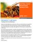 PRESIDENT S MESSAGE CENTRAL COAST BEEKEEPERS NEWSLETTER APRIL Greetings Central Coast Beekeepers--