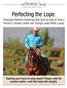 Perfecting the Lope: Champion Western Horseman Bob Avila on How to Train a Horse to Counter-Canter and Change Leads While Loping