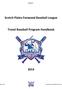 Scotch Plains-Fanwood Baseball League. Travel Baseball Program Handbook SPFBL Travel Handbook DRAFTv1.docx