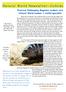 Natural World Newsletter Cichlids