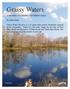 Grassy Waters A HISTORY OF A WATER CATCHMENT AREA. By Allen Trefry