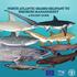 NORTH ATLANTIC SHARKS RELEVANT TO FISHERIES MANAGEMENT A POCKET GUIDE