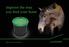 Improve the way you feed your horse. Haygain - That s Pure Horse Sense