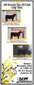 All Breeds Top 30 Club Calf Sale