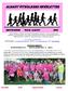 ALBANY FITWALKERS NEWSLETTER
