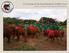 Report to Contributors: Financial Support to DSWT, The David Sheldrick Wildlife Trust