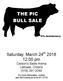 THE PIC BULL SALE. Saturday, March 24 th :00 pm Carson s Sales Arena Listowel, Ontario (519)