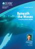 Beneath the Waves. Protecting Marine Wildlife. Animal Action Education. Join me and IFAW in taking action for animals. Key Stage 2 (ages 8-11)