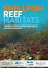 A synopsis to underpin the repair and conservation of Australia s environmentally, socially and economically important bays and estuaries Australia