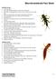 Macroinvertebrate Fact Sheet