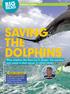 SAVING THE DOLPHINS BIG READ. Nonfiction feature. When dolphins like these are in danger, this amazing man comes to their rescue.