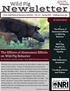 Newsletter. Wild Pig. The Effects of Abatement Efforts on Wild Pig Behavior. In this issue