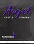 Nagel. Performance POUNDS + BEEF = PROFIT 25TH ANNUAL BULL SALE FRIDAY, FEBRUARY 8, 2019