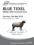 BLUE TEXEL SPRING SPECTACULAR SALE. Saturday 19th May Sale to commence at 1.30pm
