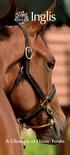 A Glossary of Horse Terms