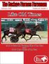 The Buckeye Harness Horseman February 2016 Volume 46, Number 1