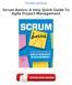 Scrum Basics: A Very Quick Guide To Agile Project Management PDF