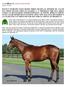 PLUCK S YEARLING HALF-SISTER THREE HEARTS IS OFFERED BY VALOR BAY FROM SECOND CROP OF LEADING U. S