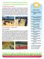 Morpeth & Ponteland School Sports Programme Spring Newsletter 2017