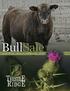 Welcome... Welcome to our 11th Annual Bull Sale! Sale Management. \Ben & Carol Tams 43 RED ANGUS BULLS 17 BLACK ANGUS BULLS 28 CHAROLAIS BULLS