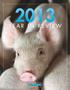 2013 was an incredible year at Mercy For Animals. In the past 12 months, we have thrown a bright spotlight on the widespread