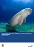 Conservation strategy for dugongs and seagrass habitats in Solomon Islands November 2018