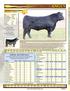 SPRING BREED AVERAGE EPD S AS OF JANUARY 27, 2014
