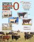 Welcome to our 36th Annual Bull Sale.