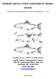 FISHERY REGULATION ASSESSMENT MODEL (FRAM)