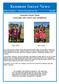 Kenmore Soccer News. Volume 11, Number 7 Kenmore/Tonawanda, New York July Summer Soccer Camp Concludes with World Cup Competition