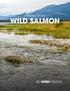 STANDING UP FOR WILD SALMON BC GREEN CAUCUS