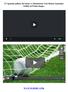 [!!*guarda.online] Juventus vs Manchester Utd Match Guardare Online in Primo luogo..