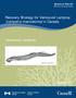 Recovery Strategy for Vancouver Lamprey (Lampetra macrostoma) in Canada