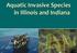 Aquatic Invasive Species in Illinois and Indiana