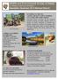 Wildlife and Environmental Society of Malawi Co-Existing in Harmony with Nature Newsletter December 2015 Blantyre Branch