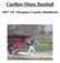 Carillon Minor Baseball U Mosquito Coaches Handbook