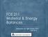 FDE 211 Material & Energy Balances. Instructor: Dr. Ilgin Paker Yikici Fall 2015