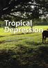 Tropical Depression. Horses don t do the tropics. By Andrew Bowe, Master Farrier Images courtesy of Mayfield Barehoof Care Centre